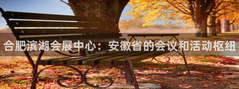 果博手机下载网址：合肥滨湖会展中心：安徽省的会议和活动枢纽