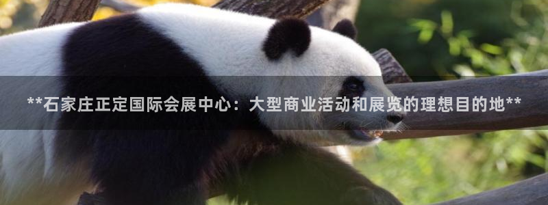 果博平台开户电话是多少：**石家庄正定国际会展中心：大型商业活动和展览的理想目的地**