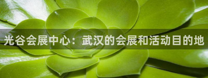 果博代理电话多少：光谷会展中心：武汉的会展和活动目的地