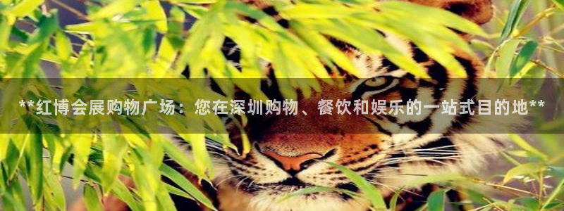 果博园简介：**红博会展购物广场：您在深圳购物、餐饮和娱乐的一站式目的地**
