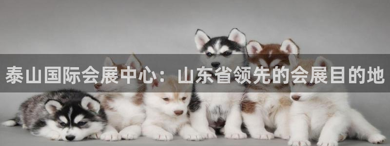 果博平台真实吗安全吗可信吗安全吗：泰山国际会展中心：山东省领先的会展目的地
