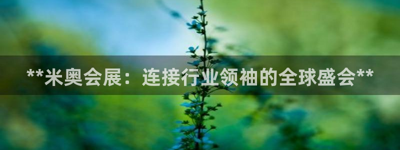 果博注册充值怎么充：**米奥会展：连接行业领袖的全球盛会**