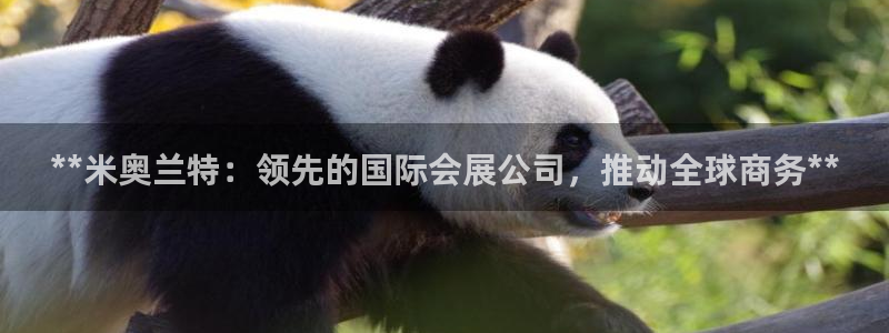 下载果博博东方：**米奥兰特：领先的国际会展公司，推动全球商务**