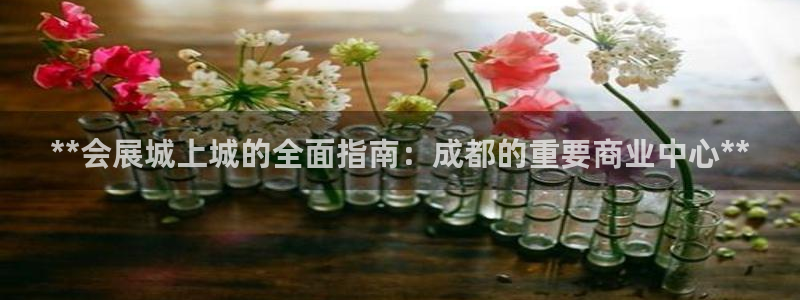 果博平台真实吗安全吗可信吗可靠吗：**会展城上城的全面指南：成都的重要商业中心**