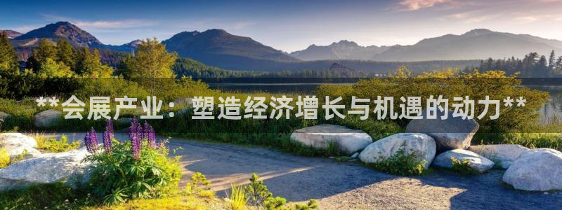 果博平台怎么下载?：**会展产业：塑造经济增长与机遇的动力**