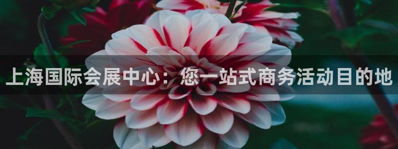 果博公司会员注册账号开户：上海国际会展中