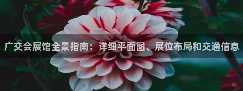 果博公司直属会员开户：广交会展馆全景指南：详细平面图、展位布局和交通信息