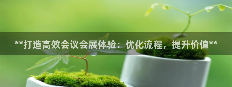 果博平台真实吗知乎推荐：**打造高效会议会展体验：优化流程，提升价值**