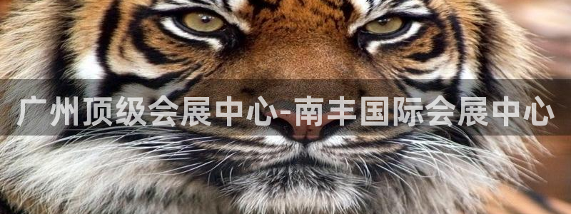 果博平台真实吗知乎怎么样：广州顶级会展中