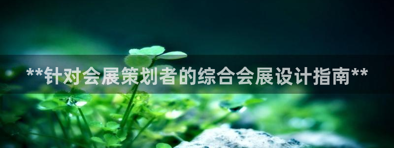 果博注册平台怎么注册不了：**针对会展策划者的综合会展设计指南**
