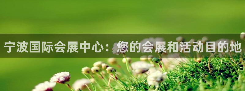 苹果电脑怎么下载博弈大师等软件：宁波国际会展中心：您的会展和活动目的地