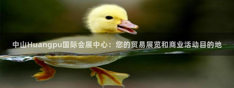 下载果博博东方下载：中山Huangpu国际会展中心：您的贸易展览和商业活动目的地