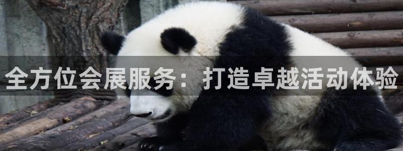 果博公司联系方式：全方位会展服务：打造卓越活动体验