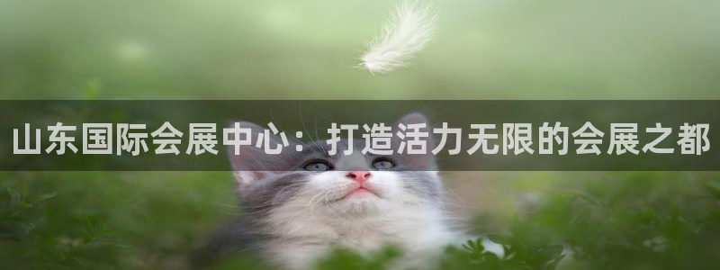 果博平台真实吗安全吗可信吗：山东国际会展中心：打造活力无限的会展之都