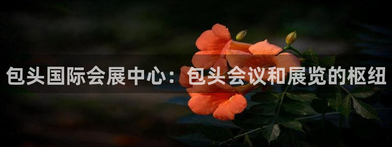 果博公司怎么注册会员：包头国际会展中心：包头会议和展览的枢纽