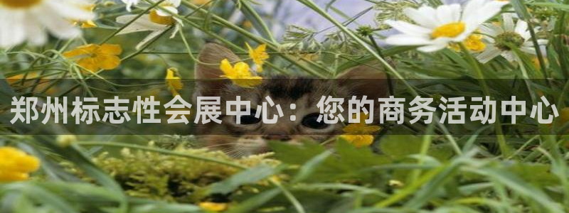 果博注册链接：郑州标志性会展中心：您的商务活动中心