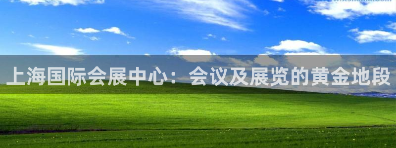 果博平台真实吗安全吗是真的吗：上海国际会展中心：会议及展览的黄金地段