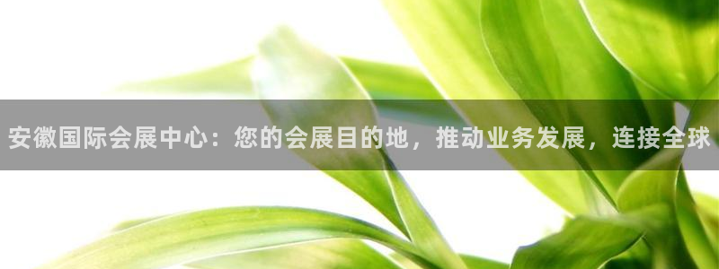 果博平台真实吗安全吗可信吗可靠吗：安徽国际会展中心：您的会展目的地，推动业务发展，连接全球