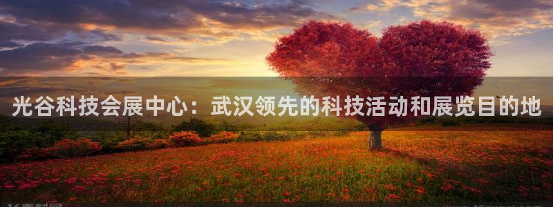 下载果博app：光谷科技会展中心：武汉领先的科技活动和展览目的地