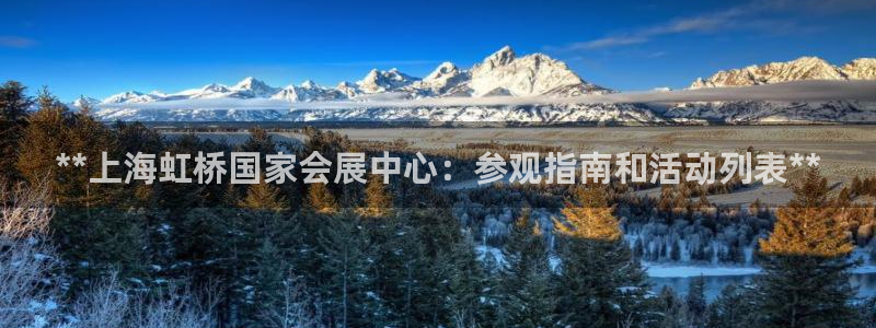 果搏代理：**上海虹桥国家会展中心：参观指南和活动列表**