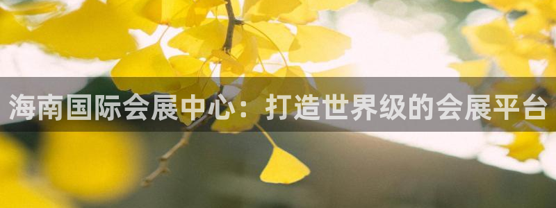 果博账号注册：海南国际会展中心：打造世界级的会展平台