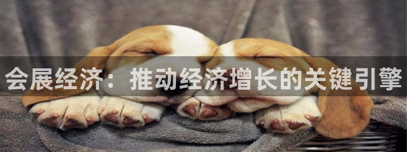 果博注册客服电话号码查询：会展经济：推动经济增长的关键引擎