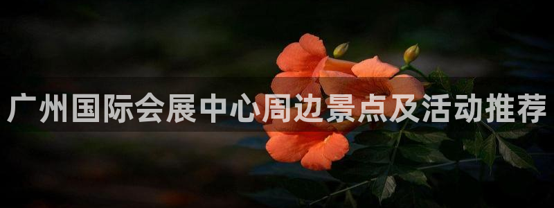 果博公司注册：广州国际会展中心周边景点及活动推荐