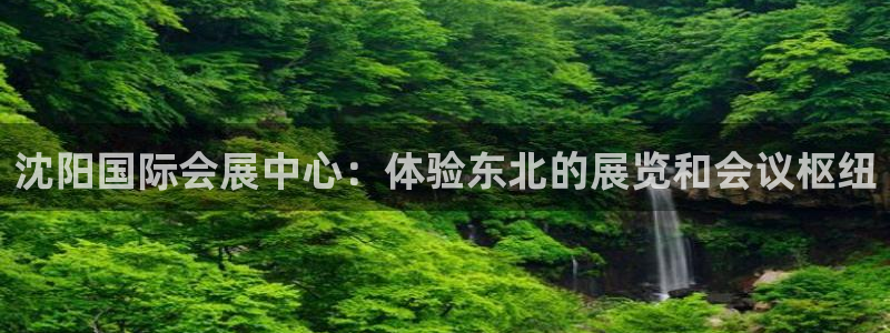 苹果手机能下载果博吗：沈阳国际会展中心：体验东北的展览和会议枢纽