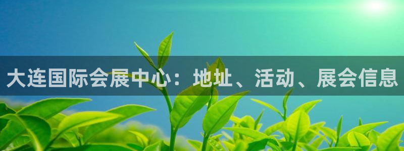 苹果电脑怎么下载博弈大师等软件：大连国际会展中心：地址、活动、展会信息