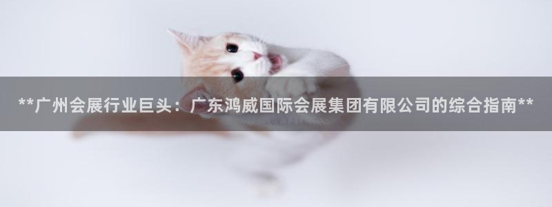 果博平台真实吗知乎怎么样：**广州会展行业巨头：广东鸿威国际会展集团有限公司的综合指南**