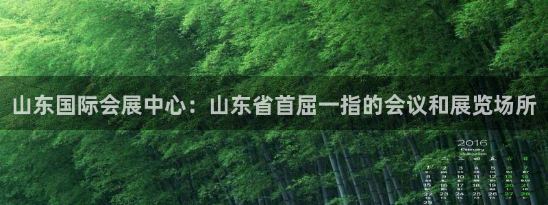 苹果电脑可以下载博易大师吗：山东国际会展中心：山东省首屈一指的会议和展览场所