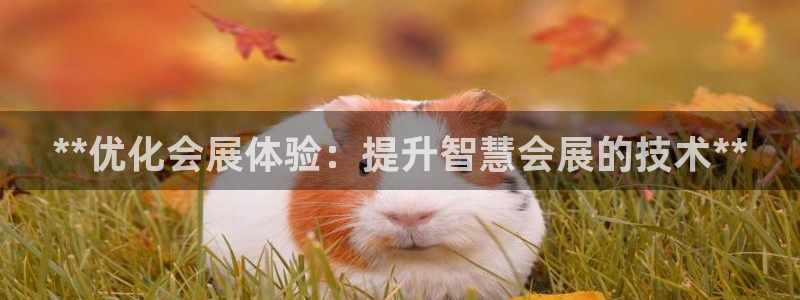果博注册充值多少钱：**优化会展体验：提升智慧会展的技术**
