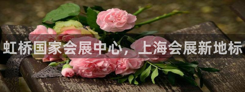 果博旗舰厅：虹桥国家会展中心，上海会展新地标