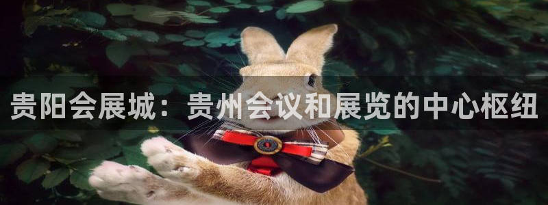 果博公司网站：贵阳会展城：贵州会议和展览的中心枢纽