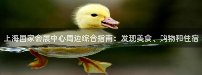 果博平台怎么下载?：上海国家会展中心周边综合指南：发现美食、购物和住宿