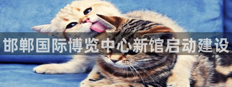 苹果手机能下载果博吗：邯郸国际博览中心新馆启动建设