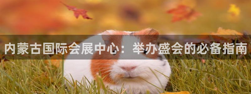 果博注册客服电话是多少号：内蒙古国际会展中心：举办盛会的必备指南