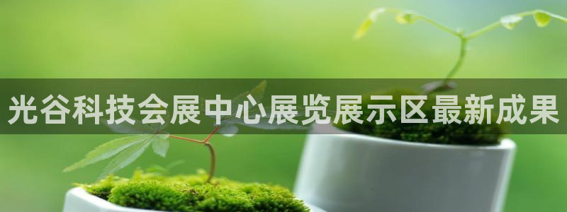 果博客服微信是多少：光谷科技会展中心展览展示区最新成果