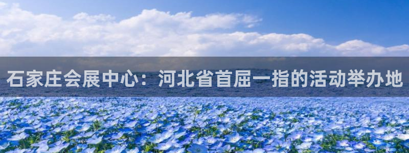 果博注册客服电话是多少：石家庄会展中心：