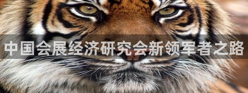 果博代理电话多少号码：中国会展经济研究会