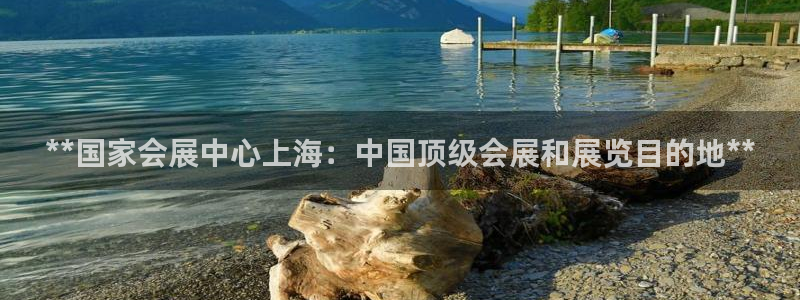 果博手机下载：**国家会展中心上海：中国顶级会展和展览目的地**