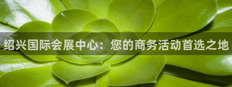 果博注册客服电话是多少：绍兴国际会展中心：您的商务活动首选之地