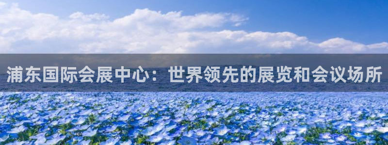 果博公司会员开户：浦东国际会展中心：世界领先的展览和会议场所