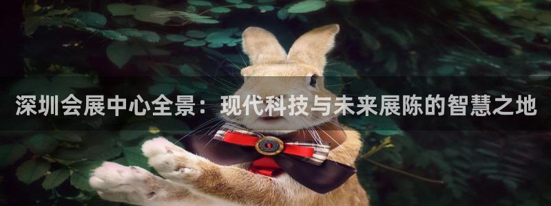 果博公司怎么开户：深圳会展中心全景：现代科技与未来展陈的智慧之地