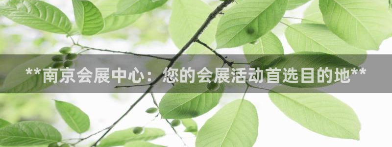 果博公司上分客服：**南京会展中心：您的
