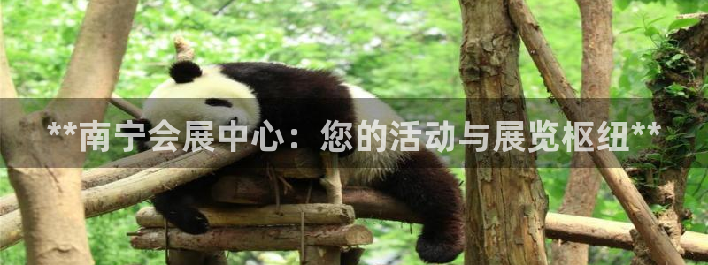 果博官网客服电话号码：**南宁会展中心：您的活动与展览枢纽**