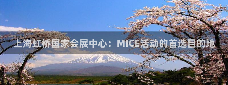 果博公司怎么注册会员：上海虹桥国家会展中心：MICE活动的首选目的地
