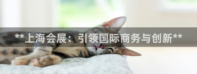 果博代理电话多少：**上海会展：引领国际