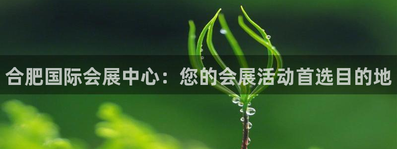 果博注册账号链接：合肥国际会展中心：您的会展活动首选目的地