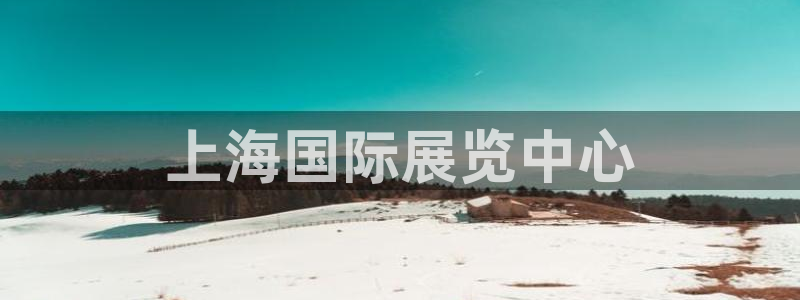 果博注册电话：上海国际展览中心